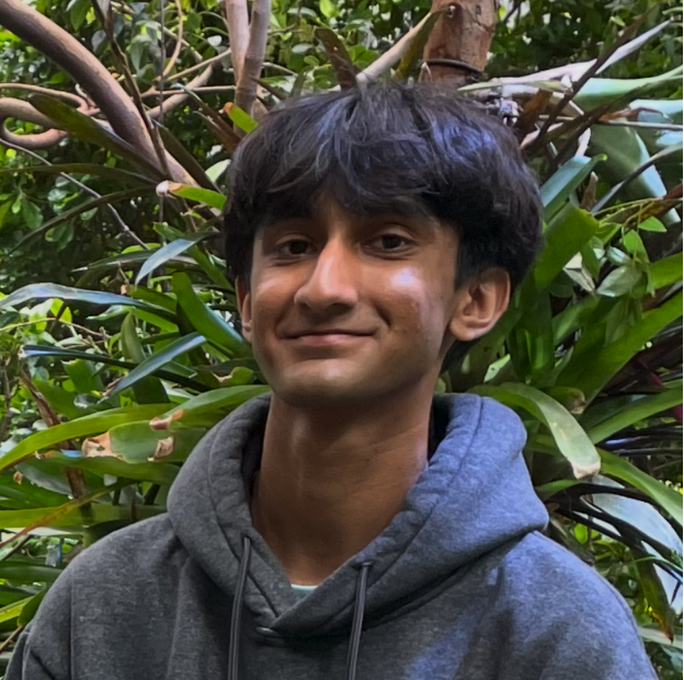 Krishna Sreeneel
