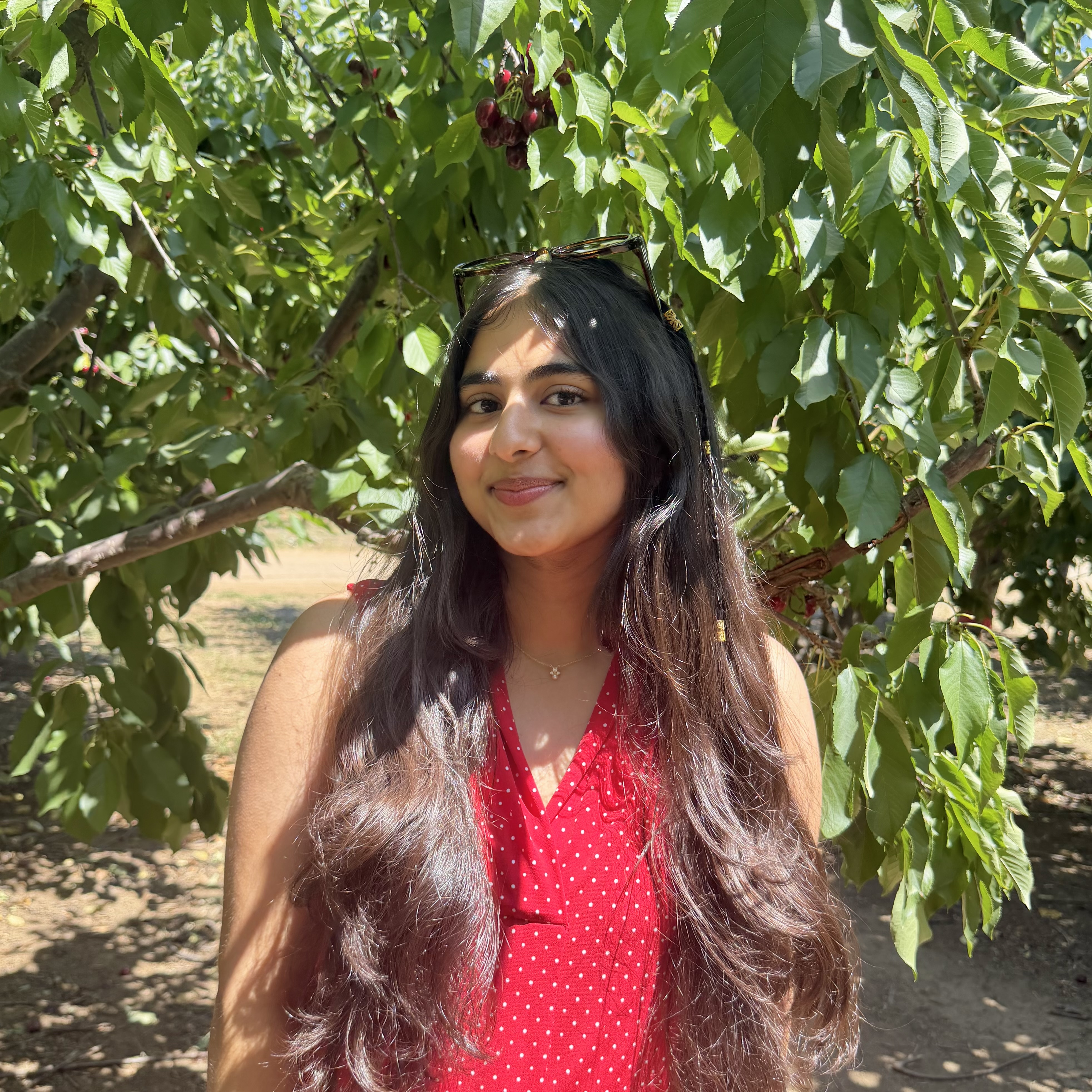 Vanshikaa Anand